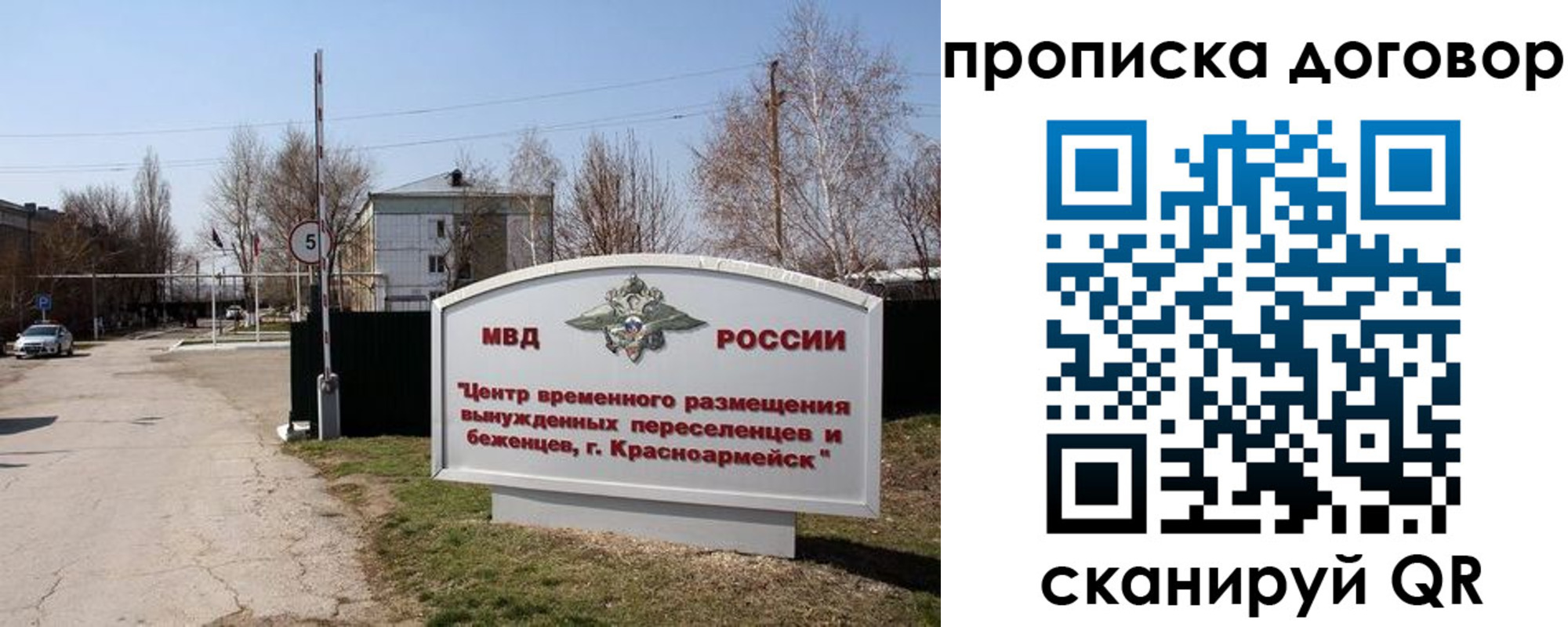 прописка для школы в Светлогорске
