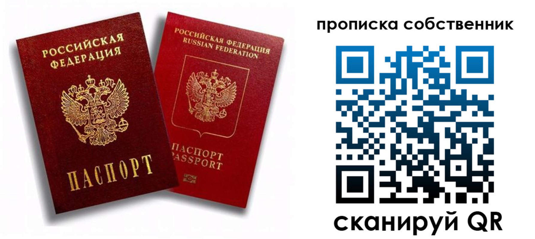 прописка 2025 в Светлогорске